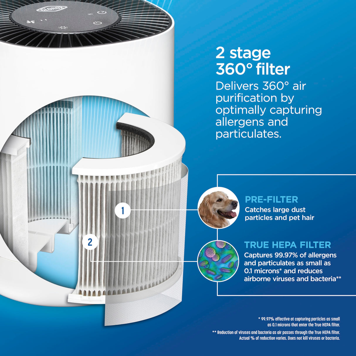 Clorox Air Purifiers for Bedroom Home, True HEPA Filter, Small Rooms Up to 200 Sq Ft, Removes 99.9% of Mold, Viruses, Wildfire Smoke, Allergens, Pet Allergies, Dust, AUTO Mode, Whisper Quiet Clorox Home Appliances