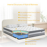 Giovanly King Size Mattress, 12 Inch Hybrid King Mattress in a Box, Medium Firm Mattresses with Memory Foam & Pocket Springs, Pressure Relief, Enhanced Edge Support, CertiPUR-US Certified Giovanly