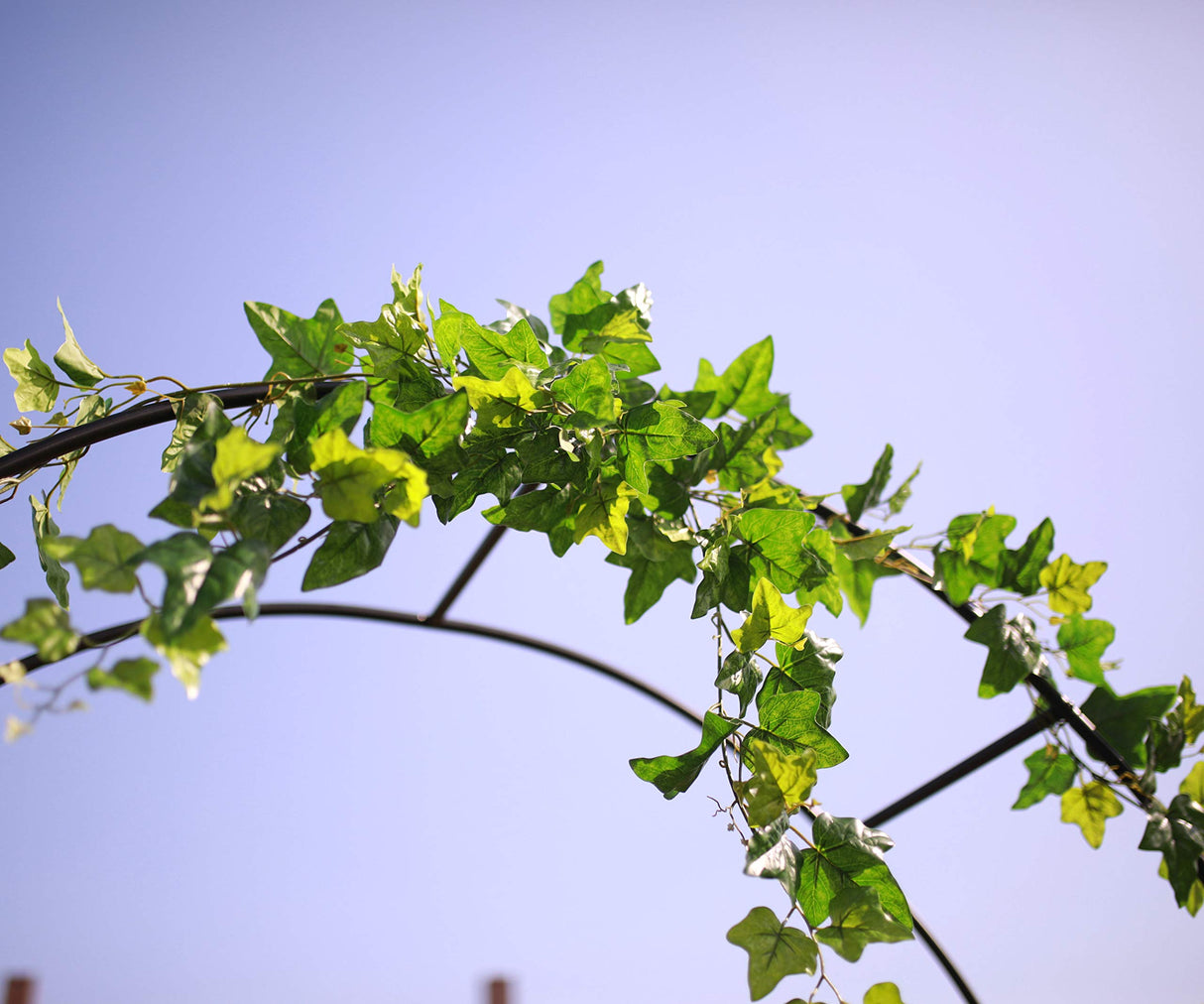 1. GO Steel Garden Arch, 7'8" High x 4'5" Wide, Garden Arbor for Various Climbing Plant, Outdoor Garden Lawn Backyard 1. GO