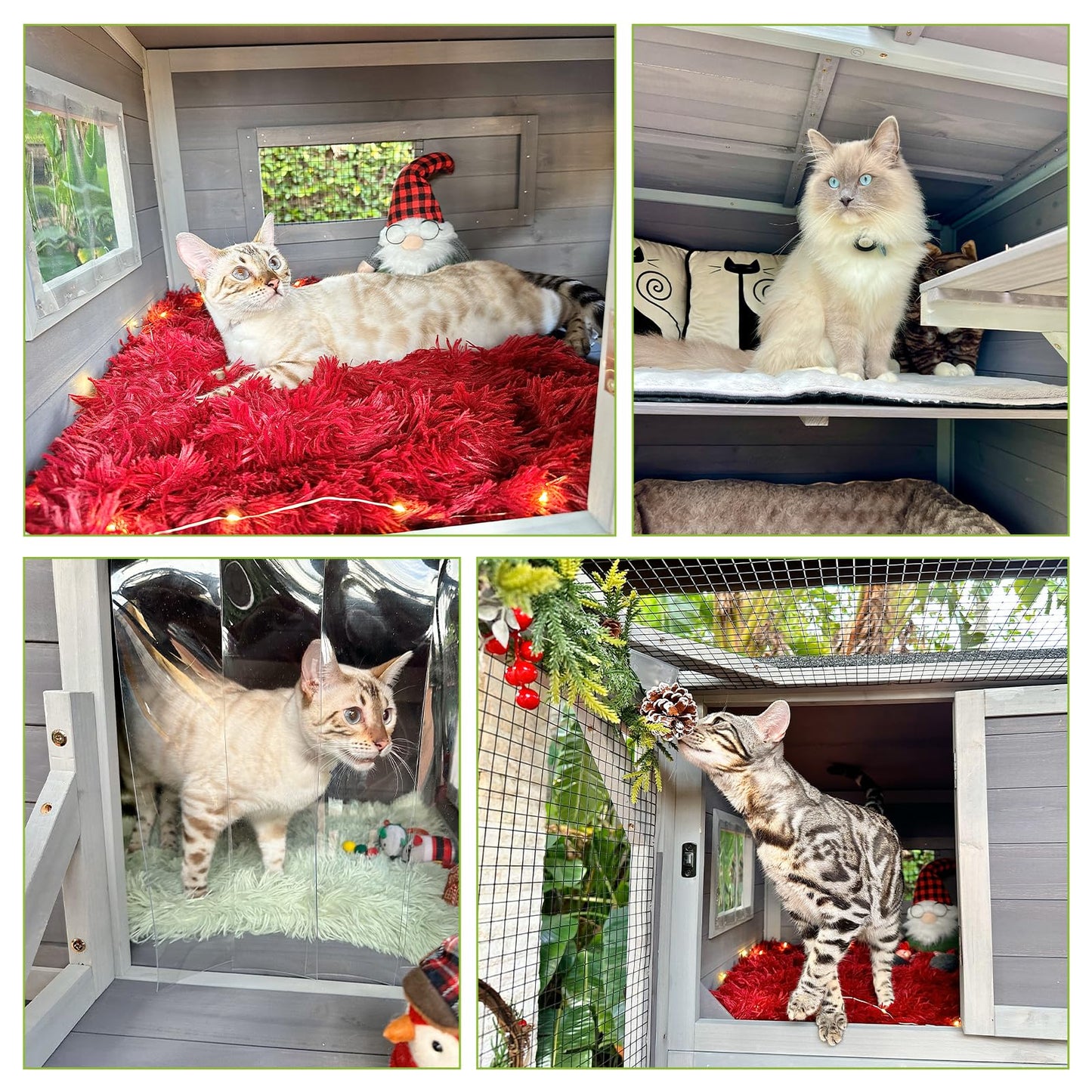 Cat Enclosure Outdoor Wooden Cat House Large Catio Vertial Kitten Kennel Cat Cage 4 Tiers 77" L x 36" W x 69" H