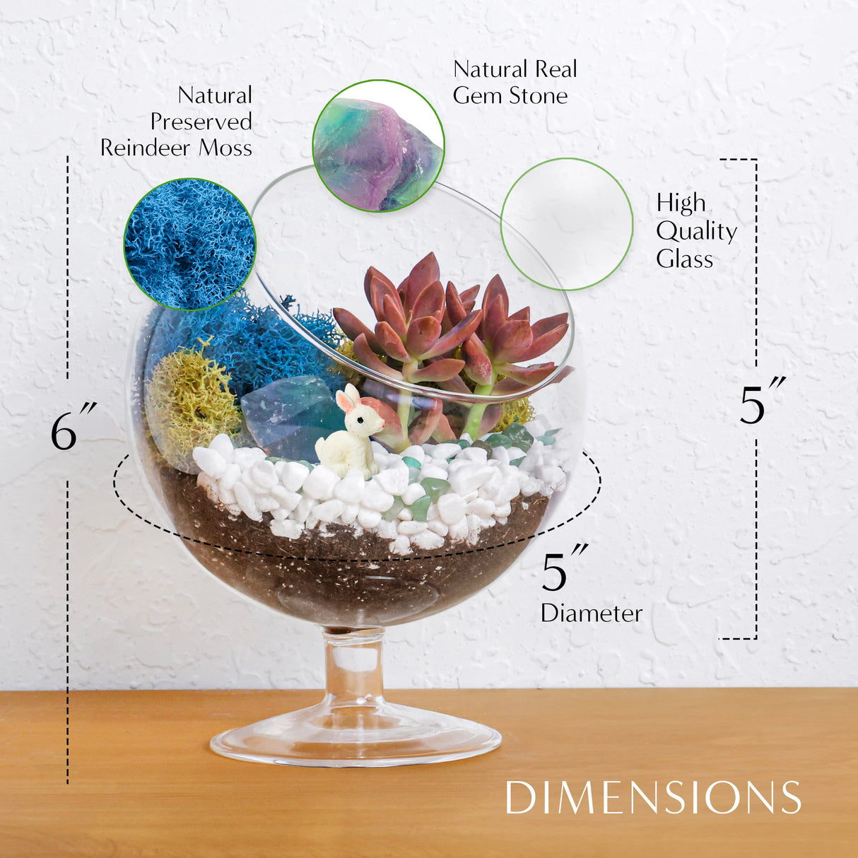 Creations by Nathalie - DIY Glass Plant Terrarium Kit for Adults, Metal Stand, Reindeer Moss, Crystals, Rocks, Tools & Figurine – Complete Starter Set Creations by Nathalie