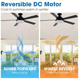 ELEVARAWOOD Black Ceiling Fan with Light, 52 Inch Outdoor Ceiling Fans with Lights and Remote, Modern Indoor Bedroom Ceiling Fan Noiseless, Reversible Blades, DC Motor ELEVARAWOOD