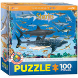 Sharks 100 Piece Jigsaw Puzzle EuroGraphics