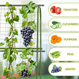 HIRALIY Cucumber Trellis for Climbing Plants Outdoor, 5 ft Tall Metal Garden Trellis, Arch Tunnel for Tomato Grape Vine Vegetables, Plant Support Archway for Garden Raised Bed, Green HIRALIY