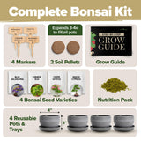 HOME GROWN Bonsai Tree Kit – Grow 4 Bonsai Types Indoors with Complete Starter Kit Including Pots Peat Pellets and Bonus Grow Guide – Unique Gardening Gift for Men Women Beginners HOME GROWN