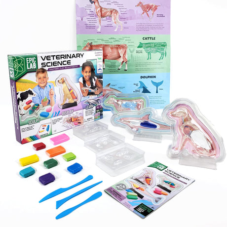 ArtSkills Epic Lab Vet Kit for Kids, Animal Anatomy Science Kit for Kids 8+ with Modeling Clay ArtSkills