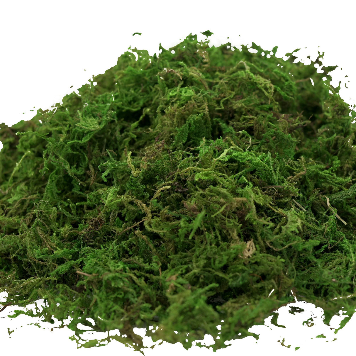 USMOLA Artificial Moss, 16OZ Fake Moss for Crafts, Decorative Centerpieces, Fairy Garden, Wedding Party Decor, Faux Potted Plants, 455gr (Fresh Green) USMOLA