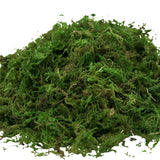 USMOLA Artificial Moss, 16OZ Fake Moss for Crafts, Decorative Centerpieces, Fairy Garden, Wedding Party Decor, Faux Potted Plants, 455gr (Fresh Green) USMOLA