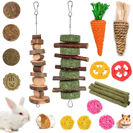 Grddaef 20 PCS Bunny Chew Toys for Teeth, Natural Rabbit Toys Apple Wood Grass Timothy Sticks Chew and Treat for Guinea Pigs Hamster Chinchillas Grddaef