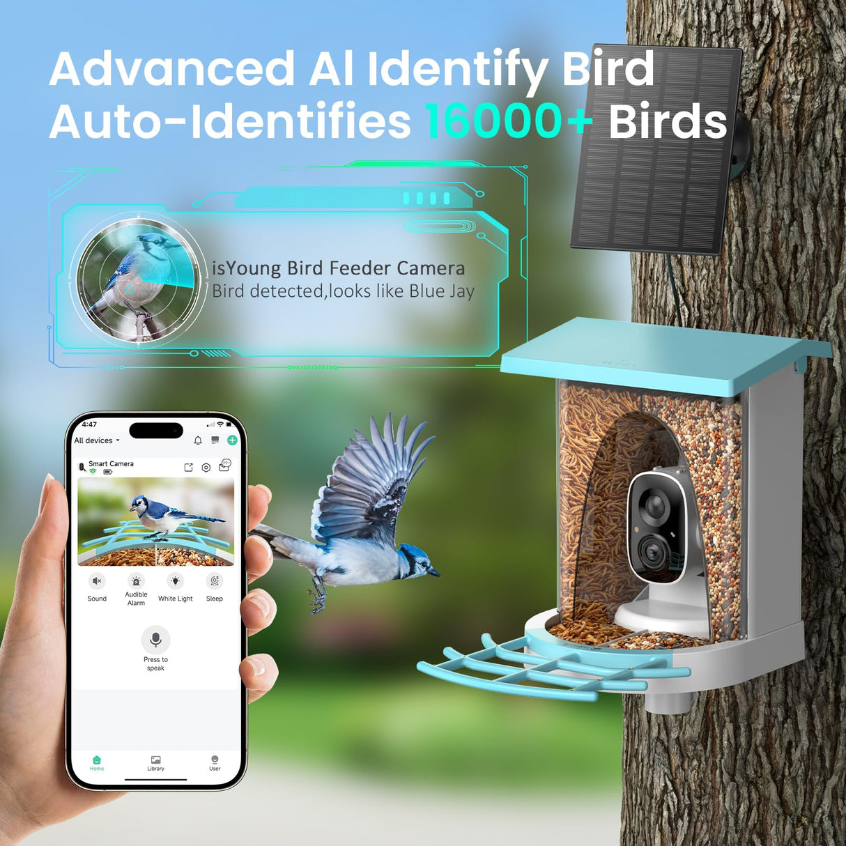 isYoung Birdlook® Smart Bird Feeder with Camera,2K HD Dual Granary Bird Feeder Camera, AI Auto-Capture & Motion Detection, 5W Solar, 170° View, AI Identify 16000+ Birds,Ideal Gift for Bird Lovers. isYoung