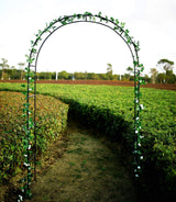1. GO Steel Garden Arch, 7'8" High x 4'5" Wide, Garden Arbor for Various Climbing Plant, Outdoor Garden Lawn Backyard 1. GO