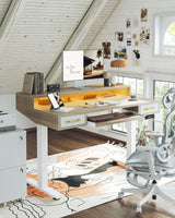 TIQLAB 55 x 28 Inch Height Adjustable Electric Standing Desk with Double Drawers&Keyboard Tray, Stand Up Desk with LED Strips&Monitor Stand, Light Walnut TIQLAB