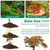 RiRifue Bonsai Tree Seed Starter Kit, with 4 Pcs Mini Garden Bonsai Tool Kit, 5 Tree Seeds Variety Pack for Planting, Creative Gardening Gifts for Plant Lovers Women Men Kid RiRifue