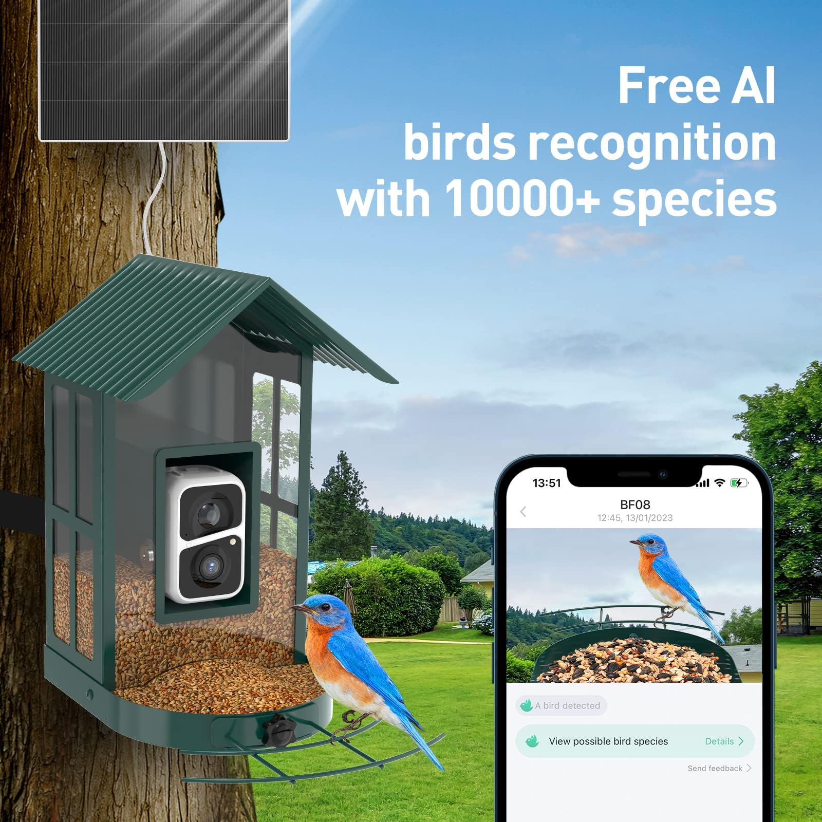 SOLIOM® BF08- Metal Bird Feeder Camera with Smart AI Identify Bird Species, Wild Bird Watching Cam, Live View, Instant Notifications with 5W Solar - WoodArtSupply