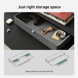 FEZIBO Sturdy Height Adjustable Electric Standing Desk with Drawers, 48 x 24 Inch Stand Up Table with Large Storage Shelf, Sit Stand Desk, Black Top FEZIBO