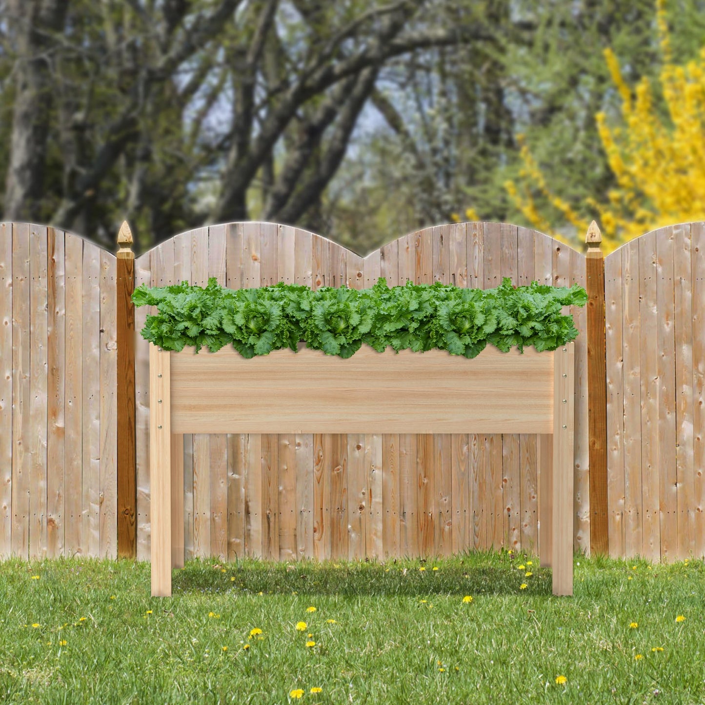 Wooden Raised Garden Bed with Legs, 48x24x30in Cedar Elevated Planter Box Outdoor with Bed Liners for Gardening, Backyard, Patio, Balcony, Grow Herbs and Vegetables