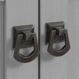 Bush Furniture Salinas Small Storage Cabinet with Doors and Shelves in Cape Cod Gray, 2 Door Accent Chest for Home Office, Living Room, Entryway Bush Business Furniture