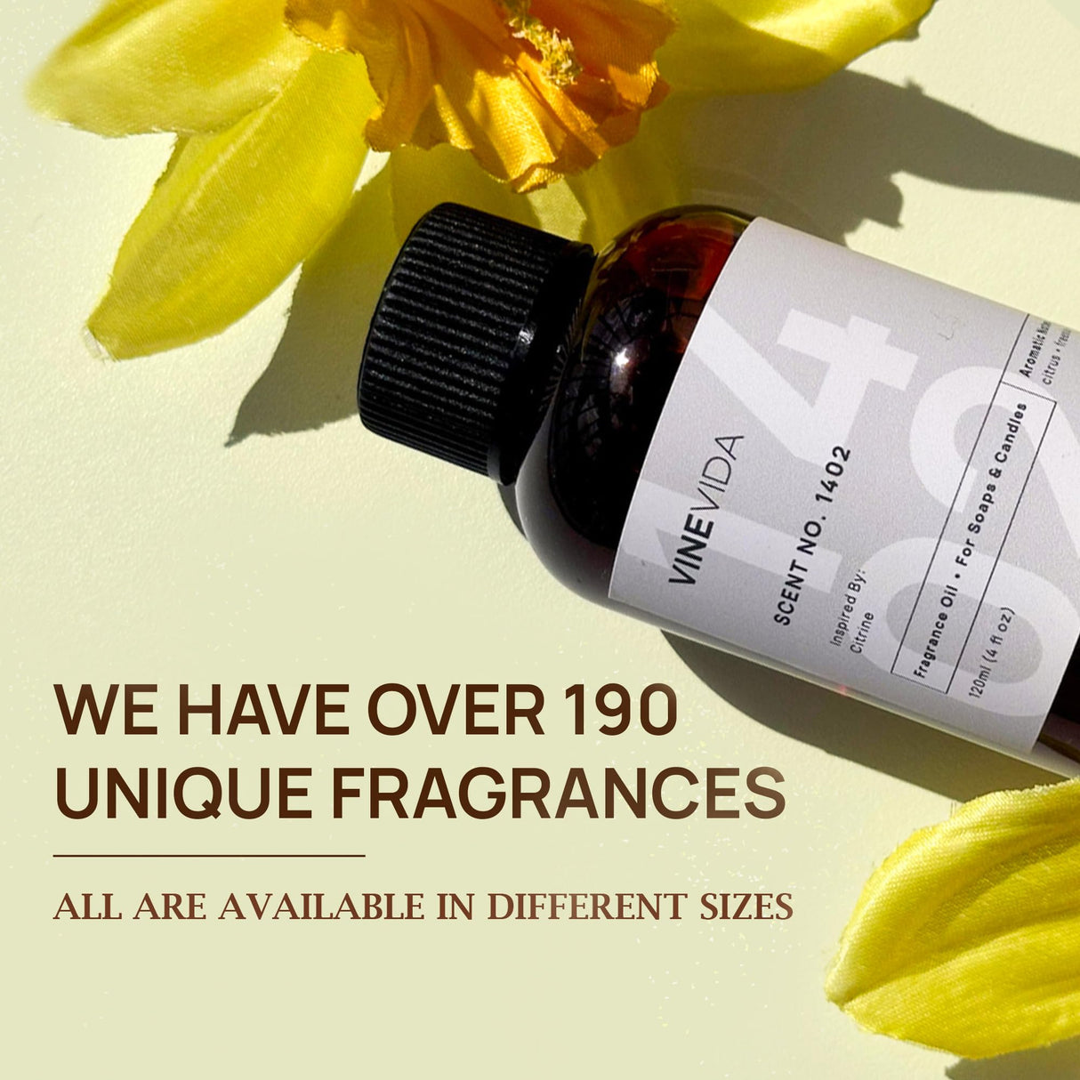 VINEVIDA [4oz] Mahogany Teakwood Fragrance Oil for Candle Making - Candle Fragrance Oil, Made in USA - Scents for Soap Making - Natural Candle Fragrance Oil - Soap Scents VINEVIDA