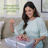 ENSO Japanese Zen Garden Kit for Desk - Inori Premium Sand Garden Gift Set for Meditation Therapy - Mini Zen Décor Office Desktop Accessories - Solid Wood Tray, 4 Hand Crafted Spheres & Custom Holder ENSO SENSORY