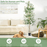 Caxchiling Faux Olive Tree 6FT, Artificial Potted Tree with Planter, Silk Plants Indoor Outdoor, Lifelike Olive Plants with Natural Wood Trunk, Fruits and Buds, Home Office Decor, 1 Pack Caxchiling