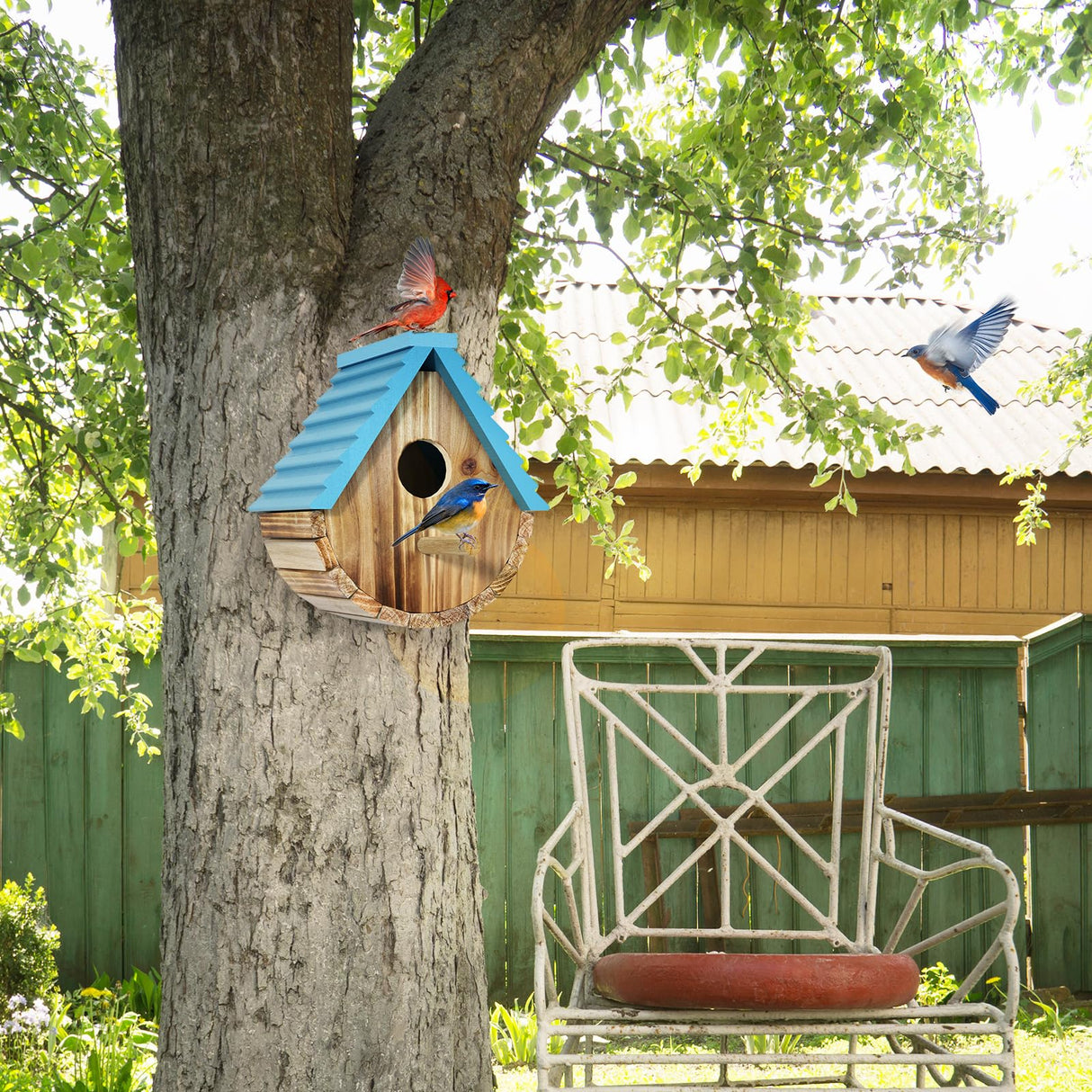Bird House, Auslar Wooden Bird Houses for Outside, Birdhouse for Outdoors, Hanging Bluebird House for Cardinals Finch Wren Swallow for Garden Viewing Auslar