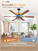 Glowivia 60 Inch Farmhouse Ceiling Fans with Lights and Remote,Black Industrial Caged Plug in Ceiling Fan with 6 Speeds and Reversible DC Motor,Double-Sided 6 Blades for Bedroom Living Room Garage Glowivia