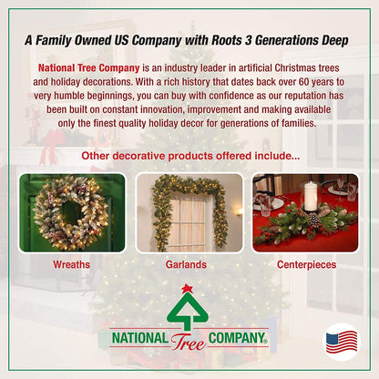 National Tree Company Pre-Lit Artificial Christmas Wreath, Green, Colonial Fir, White Lights, Decorated with Pine Cones, Berry Clusters, Christmas Collection, 24 Inches