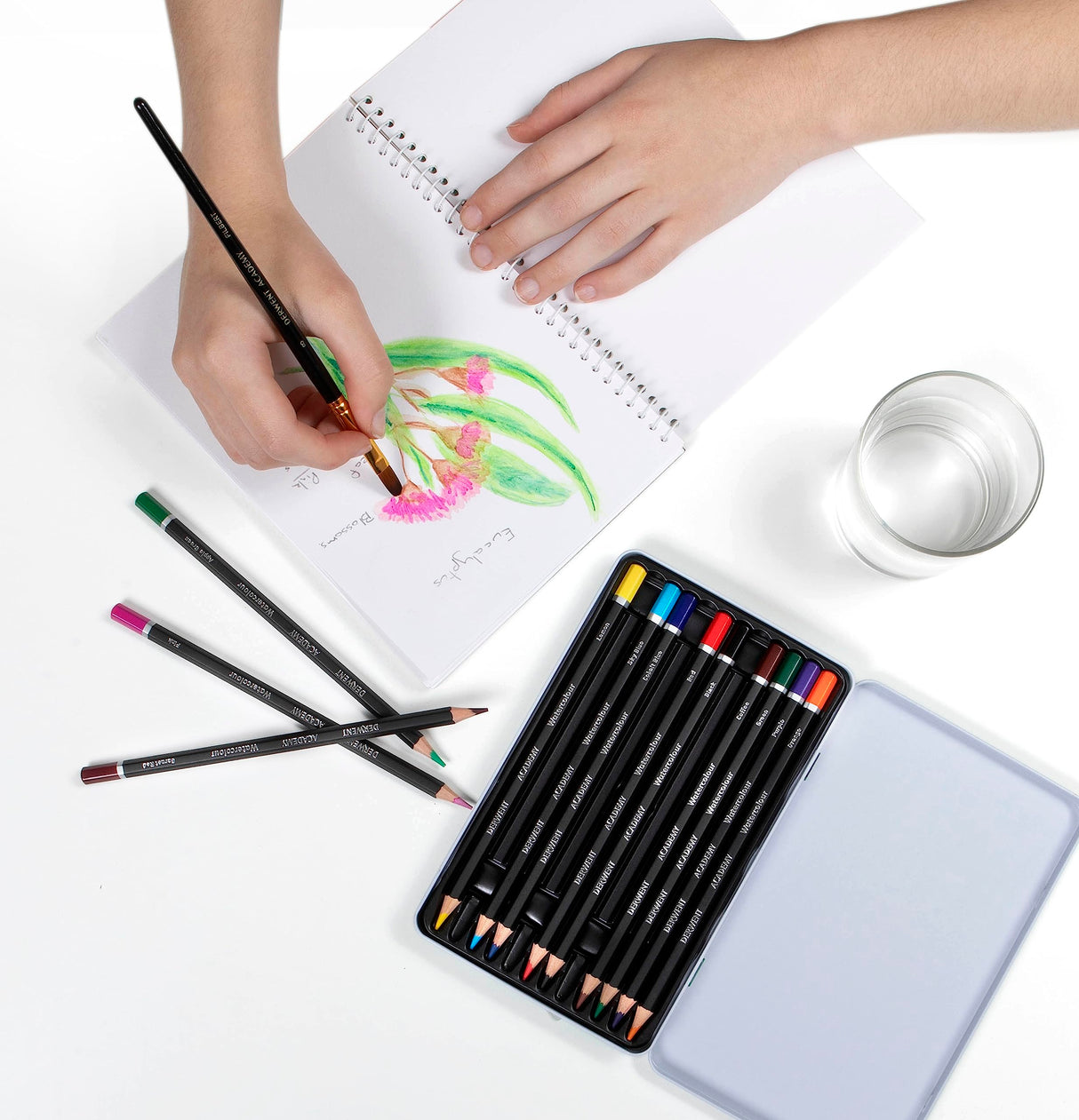 Derwent Academy Watercolor Pencils, 3.3mm Core, Metal Tin, 12 Count (2301941) Derwent Academy