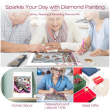 DIADAY Cat Diamond Painting Kits for Adults, 5D Full Drill Diamond Art Kits with Round Gem for Beginners, DIY Art Crafts Home Wall Decor Gift 12 x 12 Inches DIADAY