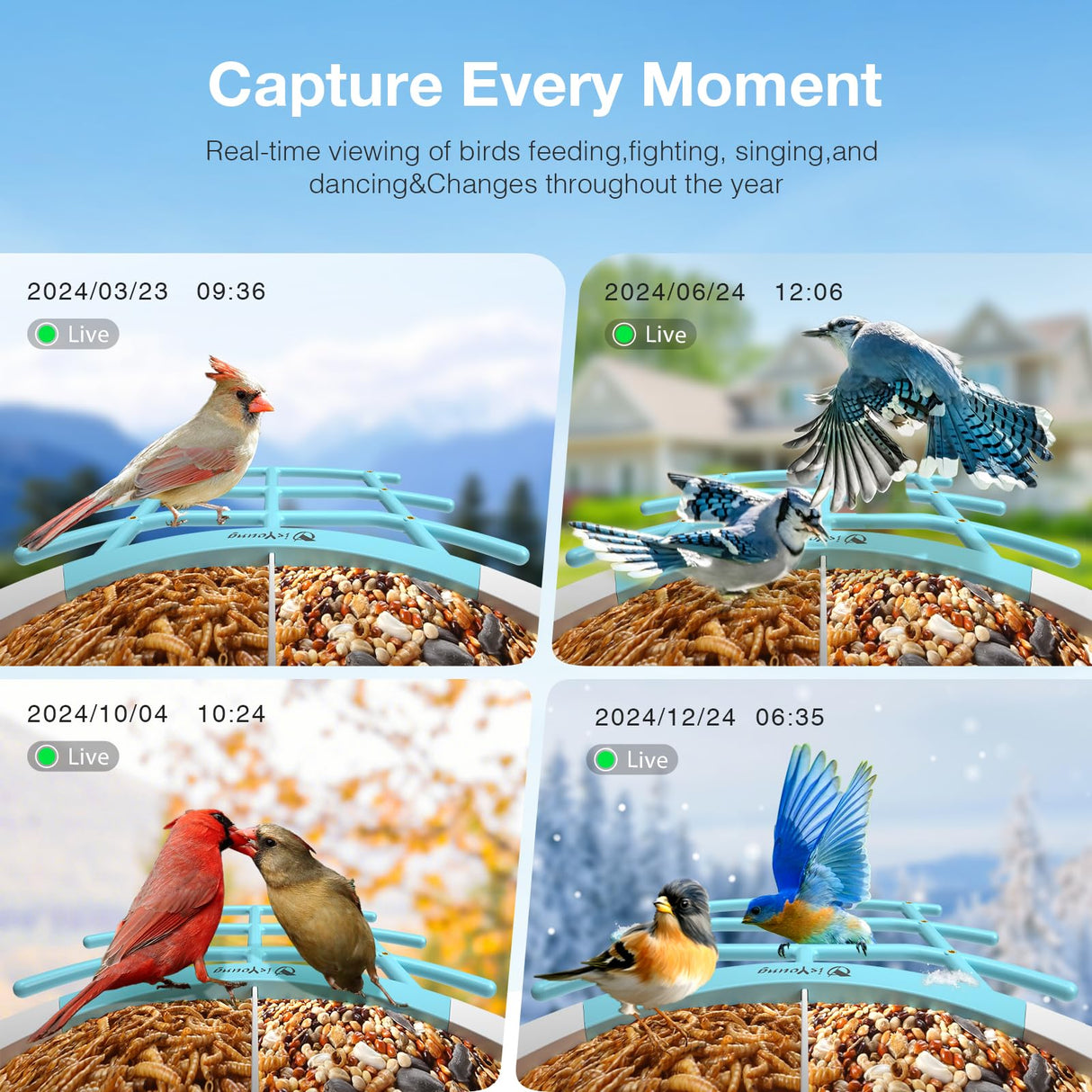 isYoung Birdlook® Smart Bird Feeder with Camera,2K HD Dual Granary Bird Feeder Camera, AI Auto-Capture & Motion Detection, 5W Solar, 170° View, AI Identify 16000+ Birds,Ideal Gift for Bird Lovers. isYoung