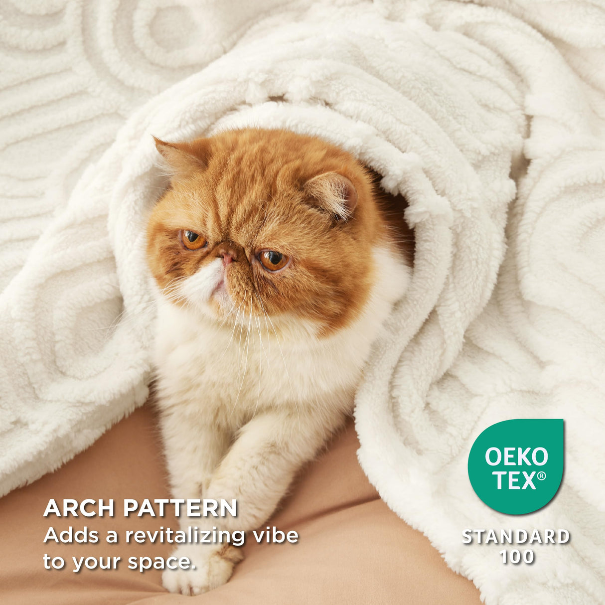 Bedsure Throw Blanket for Women - Super Soft Cozy Blankets for Women Gift, Cute Small Fleece Blanket for Girls, White, 50x60 Inches Bedsure