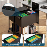 Mobile Files with Lock, Rolling File Cabinet Hanging Letter/Legal Size with Lockable Sliding Cover, Office File Organizer on Wheels MIIIKO