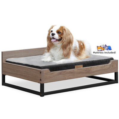 TailZzz Wooden Dog Bed and Dog Couch with Water-Resistant Mattress, Small to Medium Elevated Pet Bed with Calming Mattress, Greenguard Gold Certified, Dog Beds & Furniture, Milo, Walnut