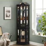 TERRUPEX Lighted Corner Curio Cabinet with Tempered Glass Doors & Shelves,Elegant Display Storage for Living Room & Bedroom Decor TERRUPEX