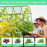 65"×65" Upgrade Heightened Cucumber Trellis for Raised Bed,U-Shape Garden Trellis for Climbing Plants Outdoor,Adjustable Metal Arch Vegetables Trellis with Climbing Net for Tomato,Bean,Grape,Zucchini WLLEYAY