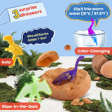 Zippytots Dino Eggs Excavation Dig Kit-12 Unique Dinosaur Eggs with Educational Learning Cards -Easter Eggs STEM Science Activities - Educational Toy Gift for Kids Boys Girls Age 3+ Zippytots