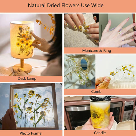 50 Pcs Dried Flowers for Resin,Real Pressed Flowers Leaves Mixed Multiple Natural Kit for Christmas DIY Gift,Art Crafts,Candle, Soap Making, Nails Decor Flyekist