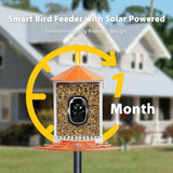 Birdkiss Smart Bird Feeder with Camera Solar Powered, 1080P HD Wild Bird Watching Cam Auto Capture Videos and AI Identify, Squirrel Proof Metal Bird Feeders, Ideal Gift for Bird Lovers (Orange) Birdkiss