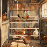 PETSFIT Square Chicken Roosting Perch, Perfect for Backyard Poultry, Chicken Perch for Coop, Easy to Assemble&Clean, Farm Chicken Toys (55" L x 40" W) Petsfit