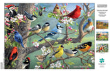 Buffalo Games - Hautman Brothers - Birds in an Orchard - 1000 Piece Jigsaw Puzzle Buffalo Games