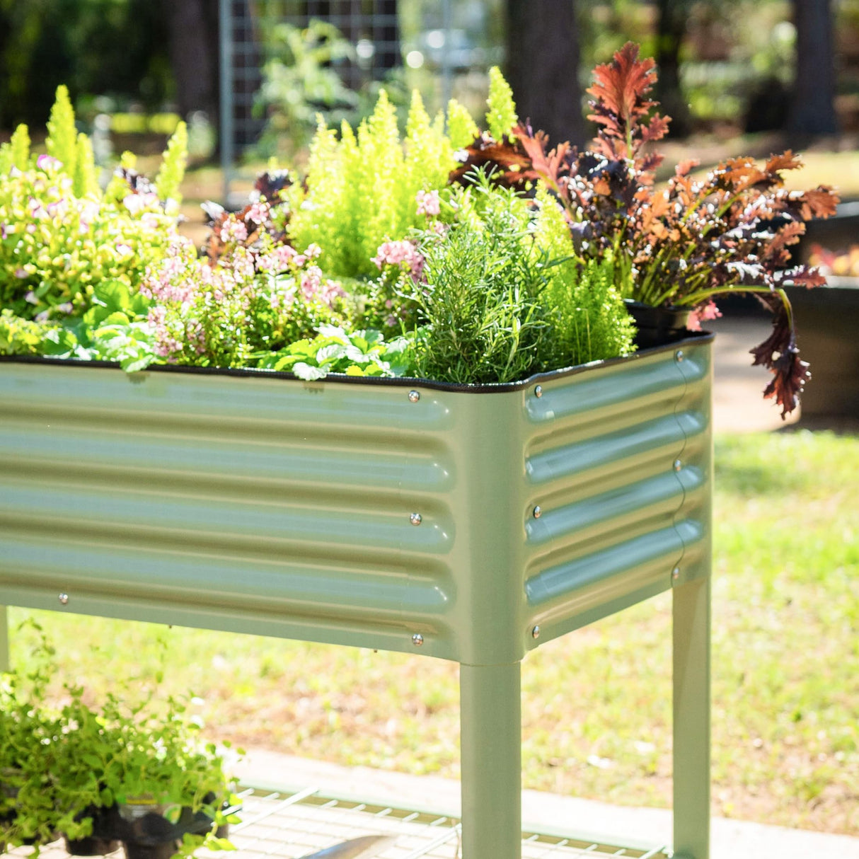 Elevated Raised Garden Bed-V Series, 2' x 4' Garden Beds with Legs & Storage Rack for Patio Porch, 700 Lbs Weight Capacity, Outdoor Planter Boxes for Gardening Herbs Vegetables Flowers, Pearl White Vego garden