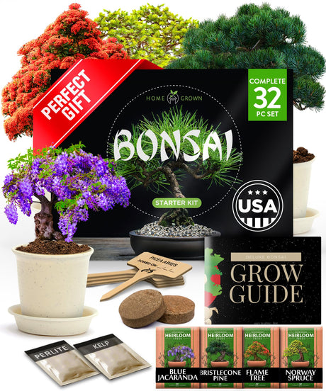 Bonsai Tree Kit - Gifts for Men & Women - Grow 4 Bonsai Trees - Unique Gardening Crafts for Adults, DIY Hobbies for Plant Lovers & Gardeners - Unusual Christmas Gift Ideas for Mom & Dad HOME GROWN