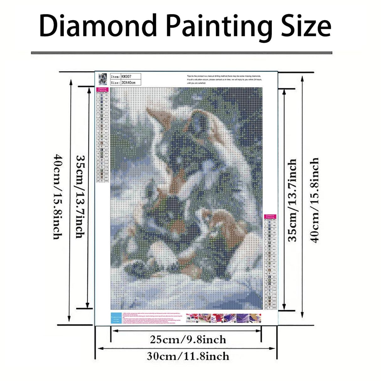 Diamond Paintings Kits for Beginners,Winter Wolf Diamond Arts Kits for Adults,5D DIY Full Drill Winter Snowy Landscape Paint by Diamond Dots,Gem Art Painting Kit for Home Wall Decor 11.8x15.8 Inch GXGLLPZBY