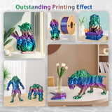 3Dgenius Silk Rainbow PLA Filament 1.75mm Silk PLA 3D Printer Filament Shiny Fast Color Changing Gradient Filament 3D Printing Filament Fit Most FDM Printers, 500g Spool(1.1lbs), Universe Series 3Dgenius