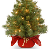 National Tree Company Pre-lit Artificial Mini Christmas Tree | Includes Small Lights and Cloth Bag Base | Majestic Fir - 2 ft National Tree Company