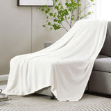 DREAMNINE Super Soft Fuzzy Fleece Throw Blanket for Couch Sofa 50" x 60", Decorative Solid Lightweight Velvet Blanket for Chair, Cozy Accent Shaggy Micro Plush Flannel Blanket for Bedroom Dorm, White DREAMNINE