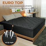 WinxMatrs Twin Mattress, 10 Inch Memory Foam Hybrid Mattress in a Box, Independent Spring for Motion Isolation and Pressure Relief, Comfortable Medium Firm Edge Support WinxMatrs