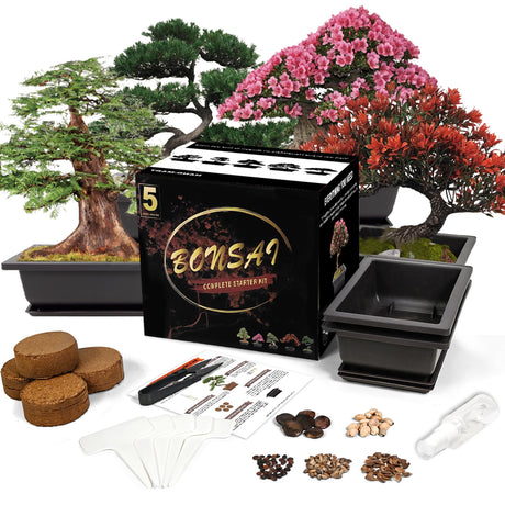 Sproutix Bonsai Starter Kit, 5 Seeds Growing into Blue Spruce, Chinese Boxwood, Dawn Redwood, Flame Tree and Judas Tree, Including Complete Gardening Tools with A Gift Box, Christmas Gifts for Women SPROUTIX