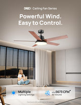 Dreo Ceiling Fans with Lights and Remote, 52 Inch, 6 Speeds, 5 Color Tones Dimmable LED, Quiet Reversible DC Motor, 8H Timer, Black Ceiling Fan for Bedroom, Living Room, Easy to Install Dreo