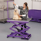 Master Equipment Master Equip Xtend Electric Grooming Table, Purple Master Equipment